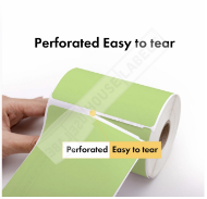 Picture of Dymo - 30256 GREEN Shipping Labels with Removable Adhesive (34 Rolls – Best Value)