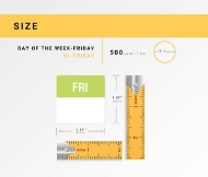 Picture of Day Of The Week - Friday (64 Rolls - Best Value)