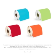 Picture of Zebra - 4x6 Combo Pack  (100 Rolls - YOUR CHOICE -Blue, Green, Yellow, Red, Orange, Pink - BEST VALUE)